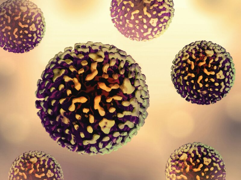 Hygienici: Devět z deseti letošních případů žloutenky typu C nejsou nové nákazy